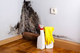 Dehumidification Services in South Waverly, PA